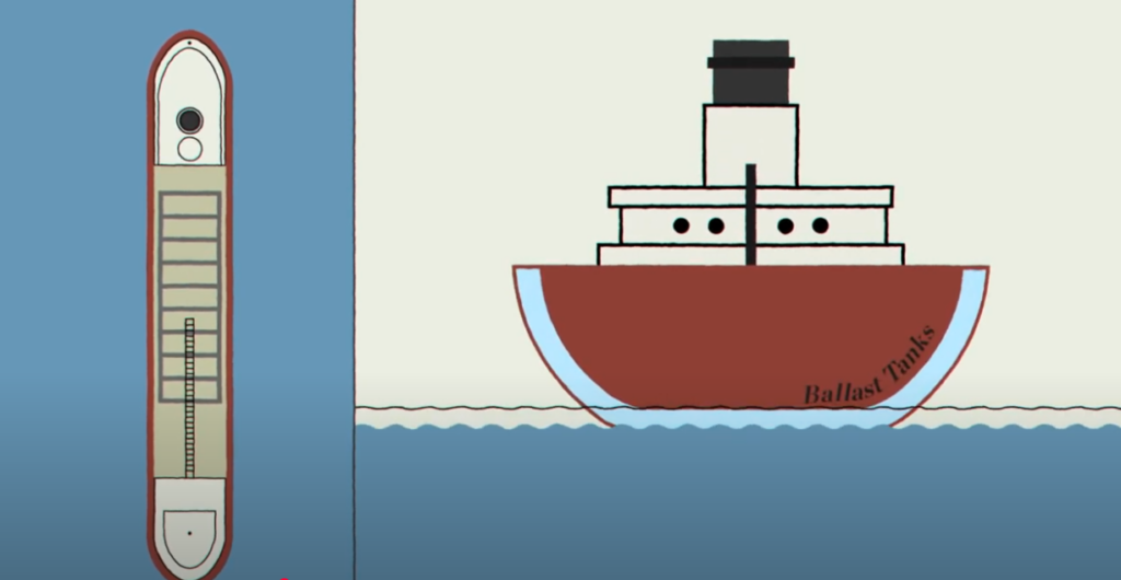 Illustration of a freighter and the ballast water tanks located at the bottom arched in between the vessel exterior and interior walls