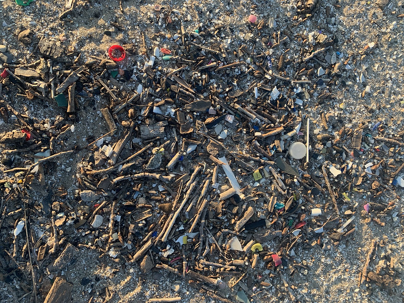 Plastic marine debris on a beach with wood