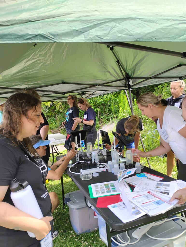 Educators learn more about plankton outside with field sampling and identification with guides and digital microscopes.