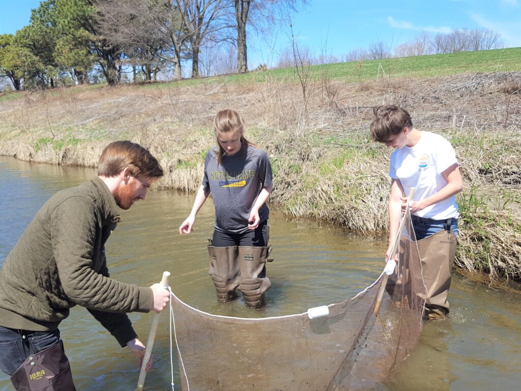 Three people wading in a river and holding a seine net.