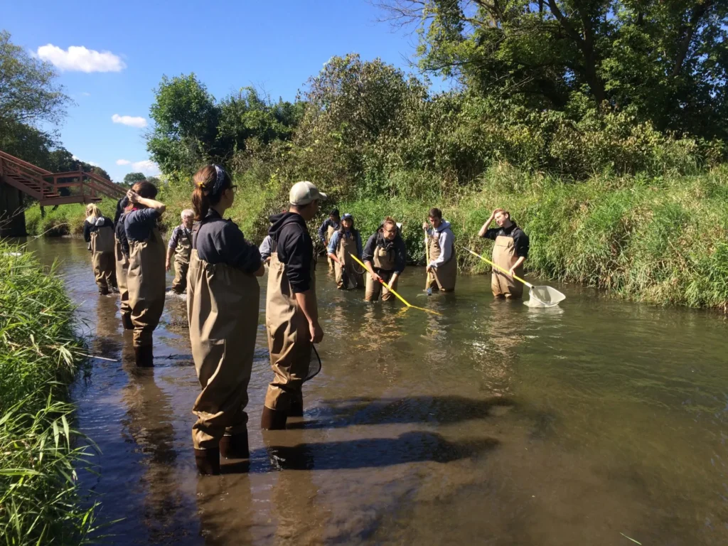 Kelsey Berke.webp A group of students wading in a shallow stream and using D-shaped nets to collect crayfish.