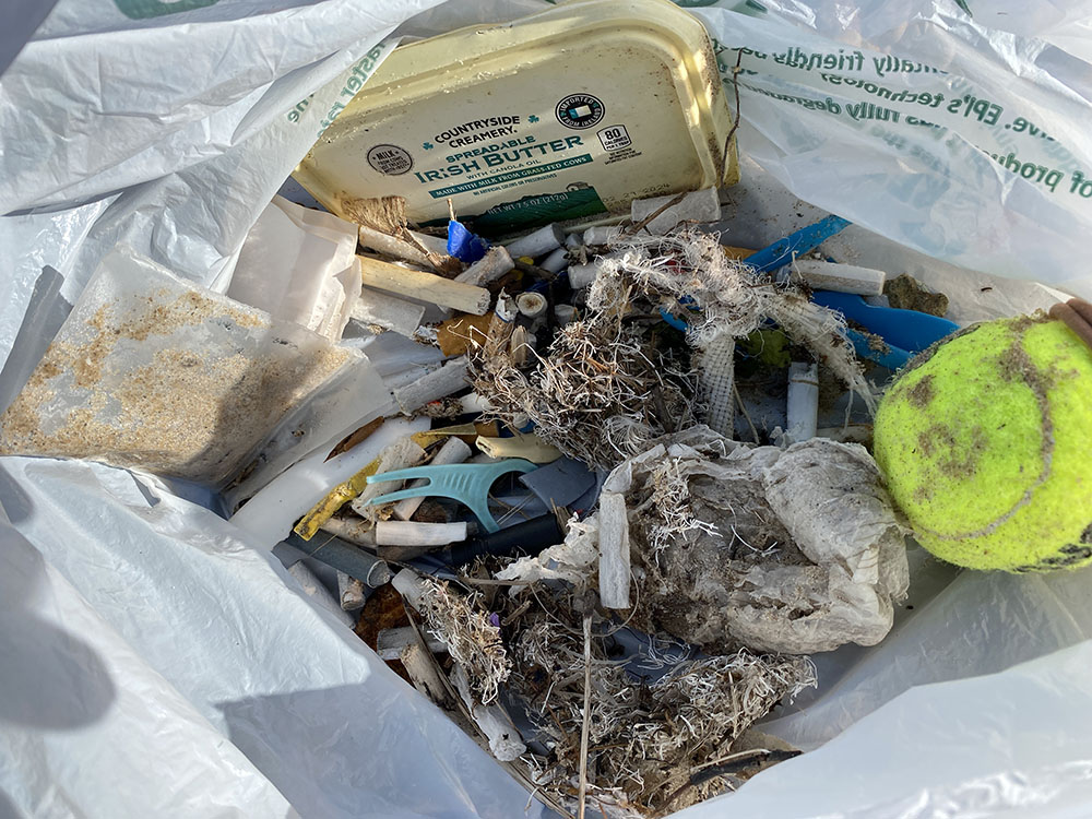 A open plastic bag with trash collected from a beach. Items such as cigarette butts, floss, tennis ball and a plastic butter lid.