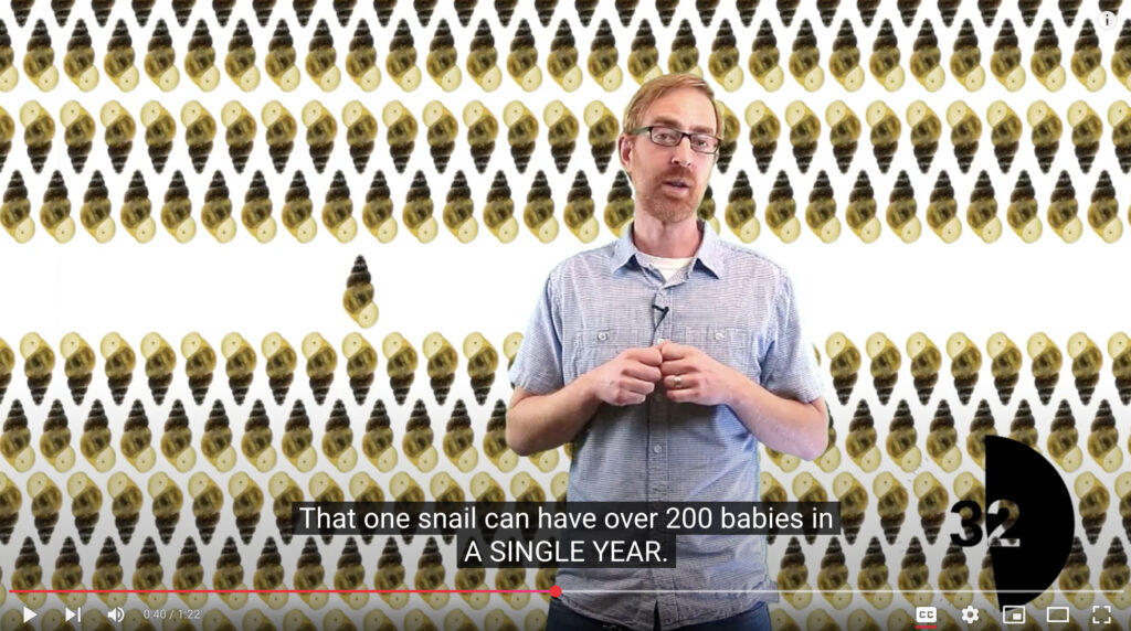 a screenshot showing 200 invasive mussels with a person talking about them.