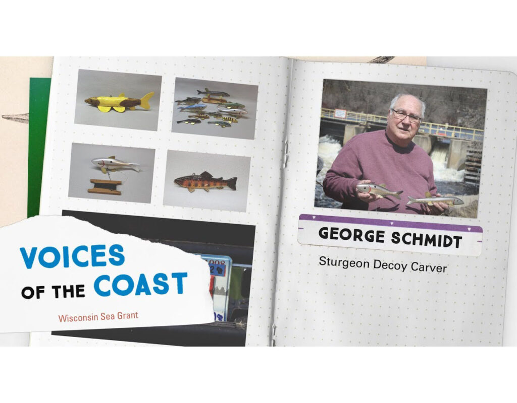 Image appears as an open page in a book. On the top left page are four photographs of carved sturgeon decoys. On the bottom left page is the Voices of the Coast Wisconsin Sea Grant logo. On the right page is an image of George Schmidt with the words "George Schmidt Sturgeon Decoy Carver" below the image.