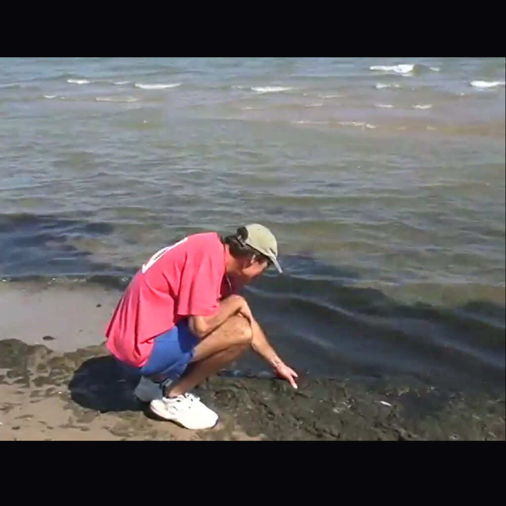 Dr. Harvey Bootsma, dressed in a baseball cap, a faded red shirt, blue shorts, and white sneakers, squats near the edge of Lake Michigan. He reaches out to grab a grayish-green glob of algae that is spread across the lake shore and shallow water.