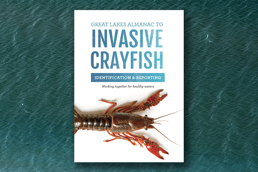 Great Lakes Almanac to Invasive Crayfish resource for identification and reporting to work together for health waters. This cover features a crayfish.