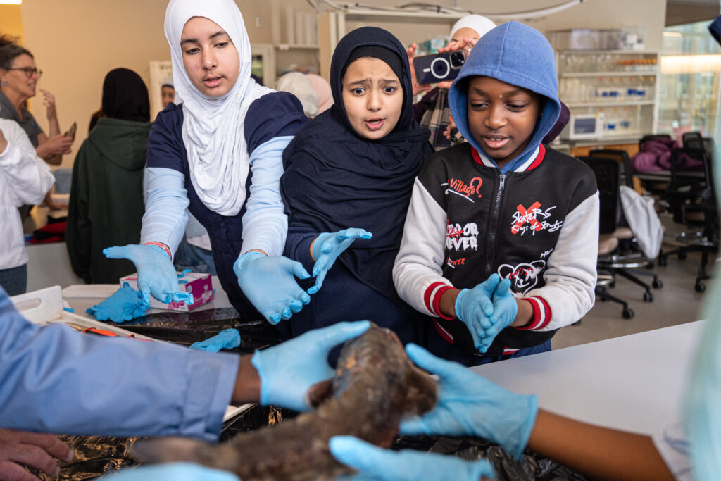 Three students look at a lake sturgeon specimen with a mix of interest, surprise, and ick.