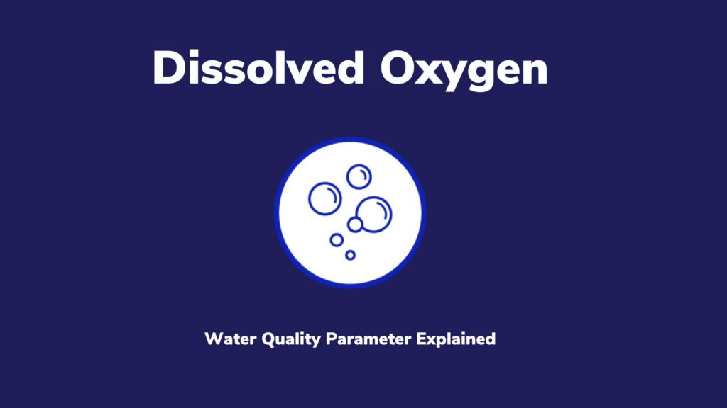Icon of air bubbles with text that reads, Dissolved Oxygen: A Water Quality Parameter Explained