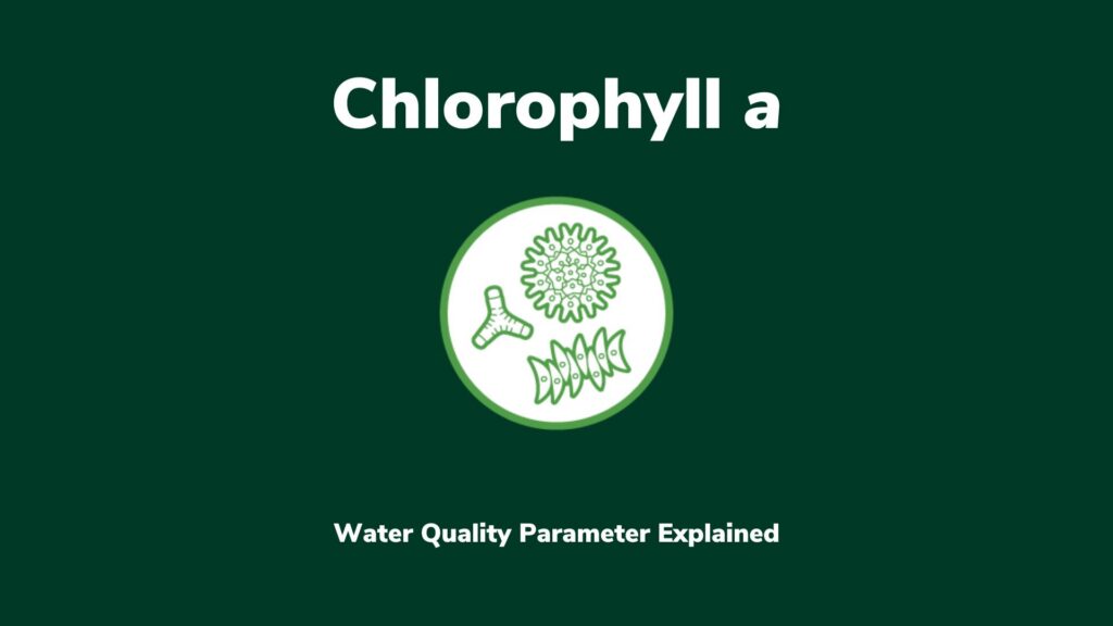 Icon of a cluster of line drawings of green phytoplankton; text that reads Chlorophyll a: A Water Quality Parameter Explained