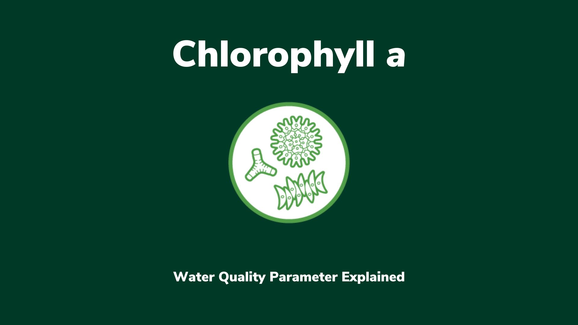 Icon of a cluster of line drawings of green phytoplankton; text that reads Chlorophyll a: A Water Quality Parameter Explained