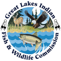 Great Lakes Indian Fish and Wildlife Commission (GLIFWC) logo