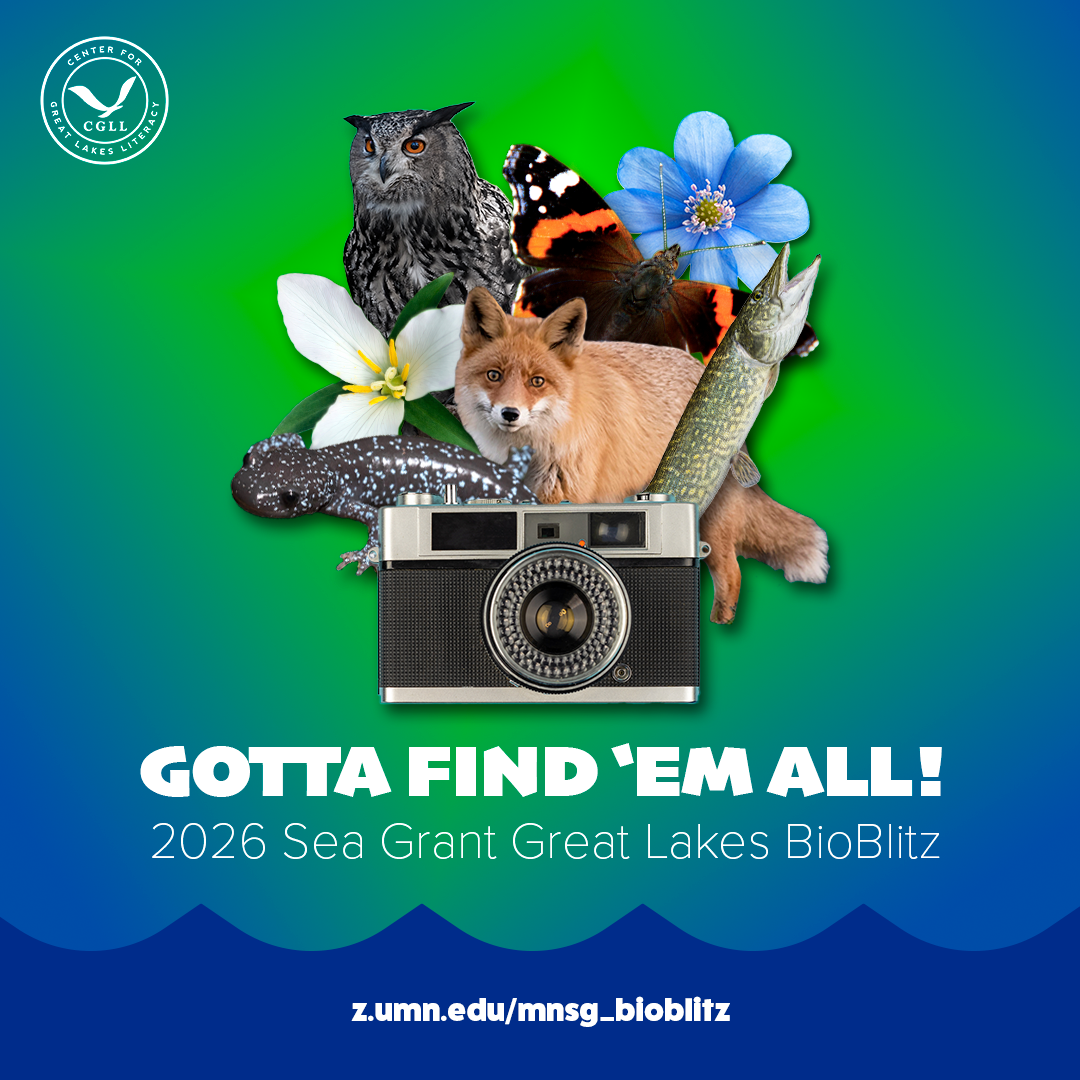 Northern Yellow Warbler, a small yellow bird with darker yellow to reddish stripes on its chest perched on a branch looking to the side with beak open "announces" 2026 Great Lakes Bioblitz April 22 to May 23 sponsored by the Center for Great Lakes Literacy, University of Wisconsin Sea Grant, and Minnesota Sea Grant