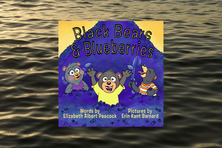 Book cover for Black Bears and Blueberries showing 3 cartoon images of bears eating blueberries