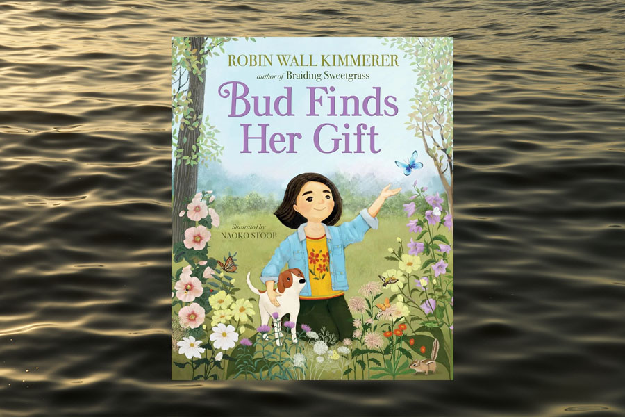 Bud Finds Her Gift Book Cover. Book By Robin Wall Kimmerer, Author of Braiding Sweet Grass. Illustrations by Naoko Stoop.