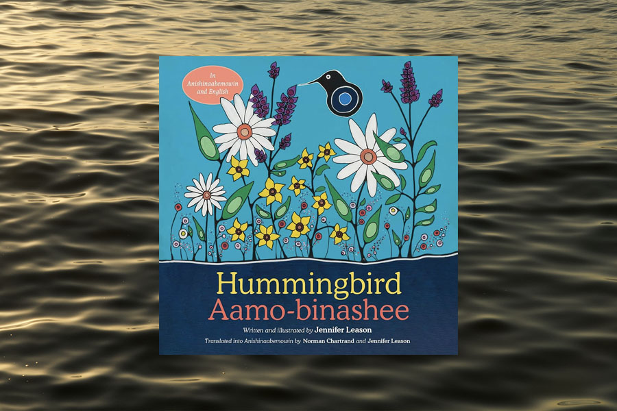 Book Cover for Hummingbird / Aamo-binashee