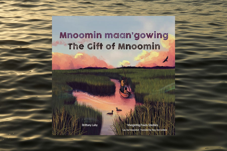 Book cover for Mnoomin maan'gowing / The Gift of Mnoomin