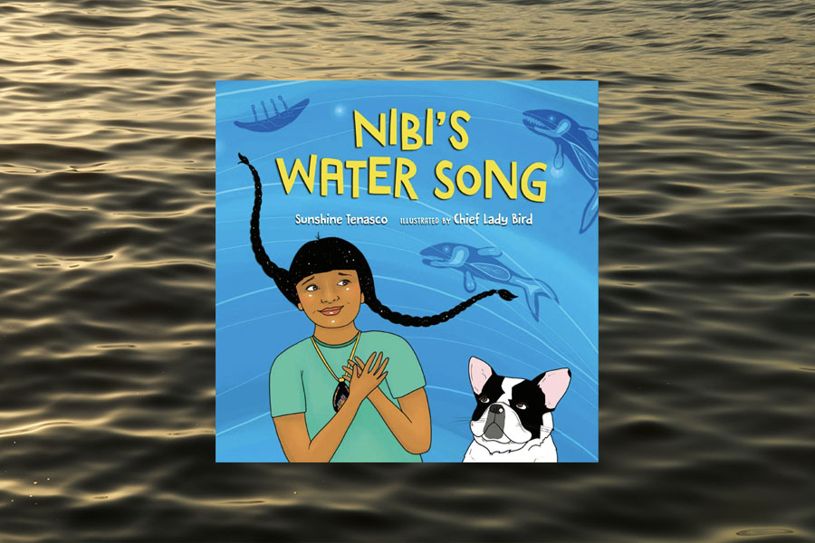 Book cover for Nibi's Water Song