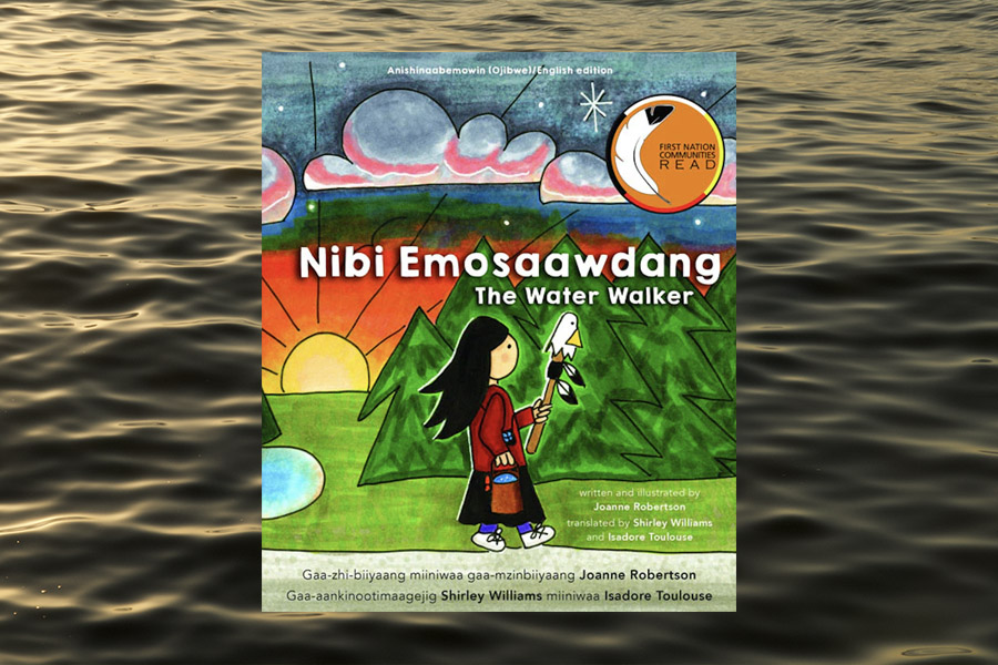 Book cover for The Water Walker