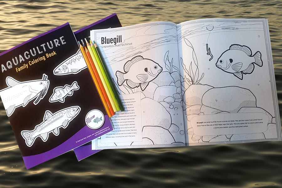 A copy of the Aquaculture Family Coloring Book featuring the cover, and a copy opened to the bluegill coloring pages, with various colored pencils.